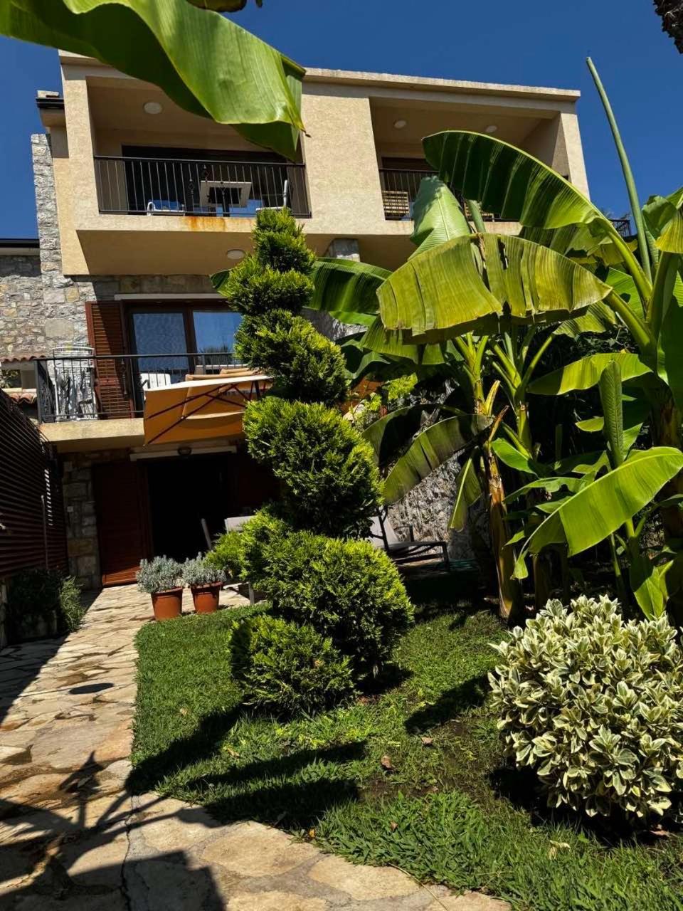 דירות Petrovac Reina מראה חיצוני תמונה